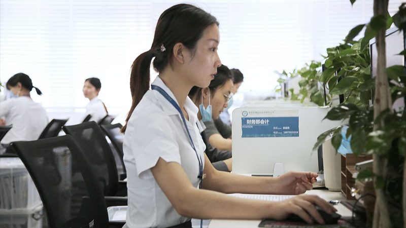 注册公司流程解析：2025年必备费用与步骤